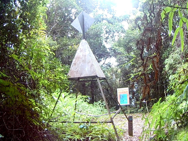 the summit of Mount Lucia at 1,240 meters