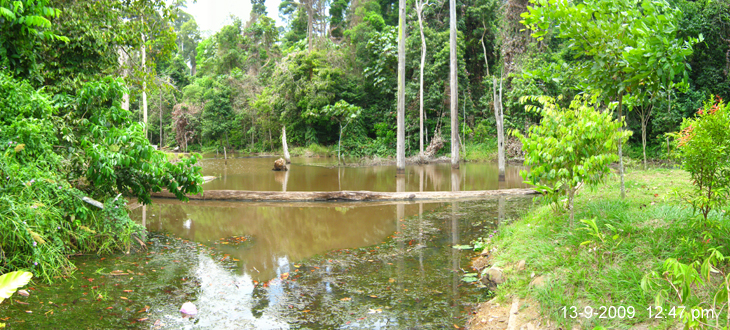 BSI Eco-Park