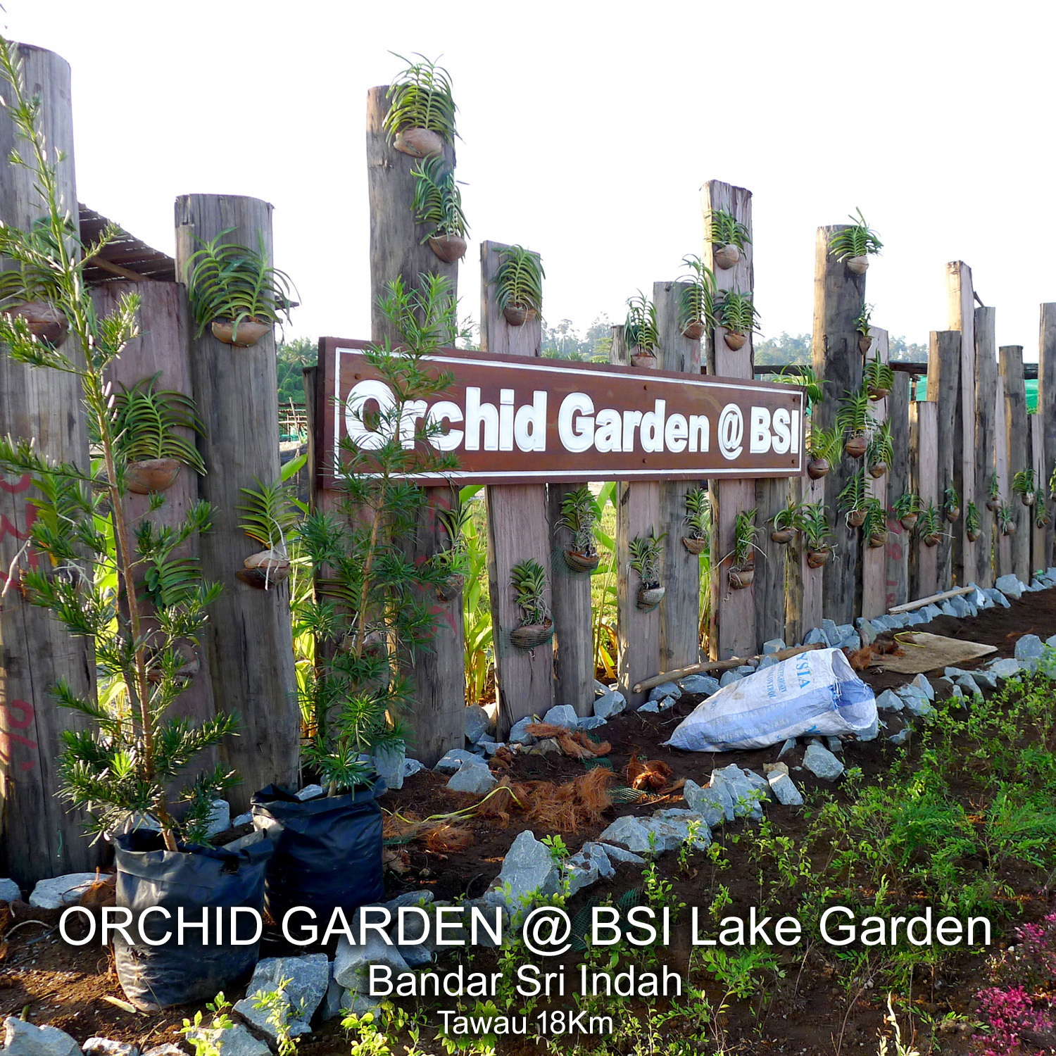 ORCHID GARDEN @ BSI Lake Garden Bandar Sri Indah