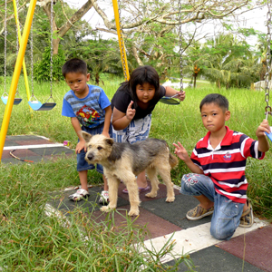 Taman Merry, Jalan Eastern, Sin Onn, Tawau