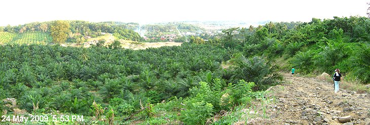 Hiking in Tawau