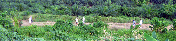 Hiking in Tawau