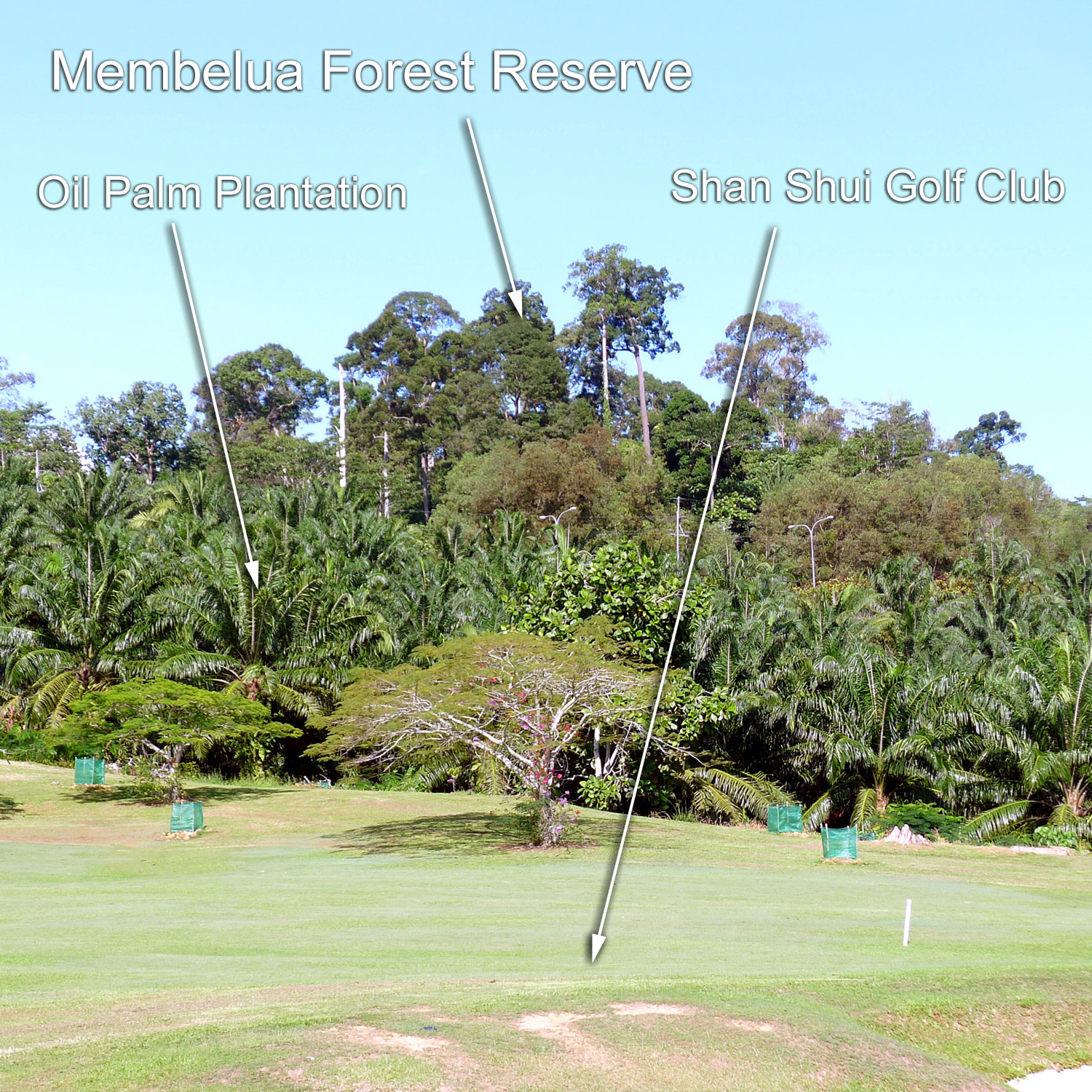 From natural resource to recreation, in between is the main export of Sabah