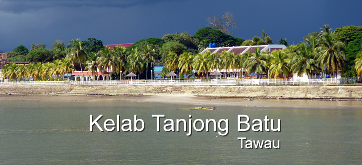 Tanjong Batu Club Coconut Trees
