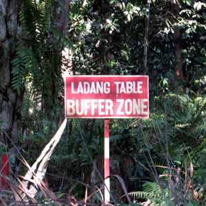 BUFFER ZONE