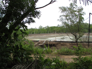 PRAWN FARM