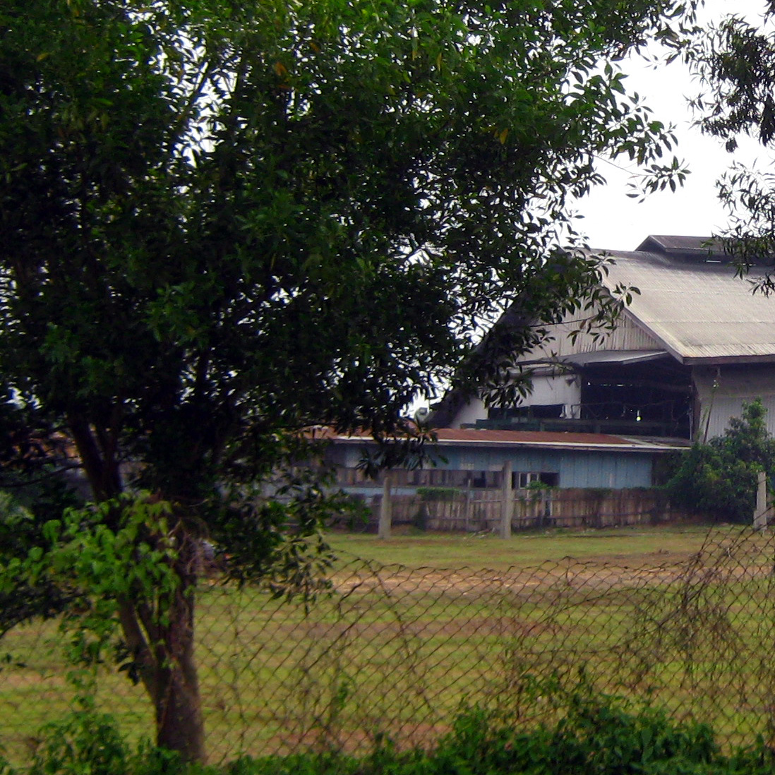 EDA Sawmill