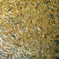 Ricehusk Board (Papan Sekam Padi)