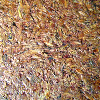 Ricehusk Board (Papan Sekam Padi)