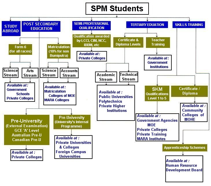 Paths of SPM Students