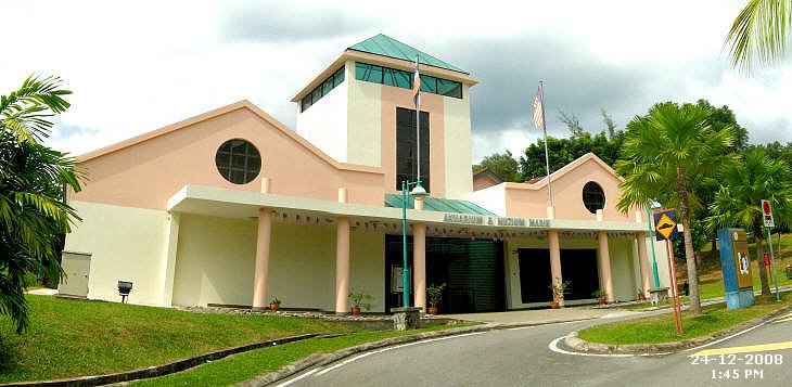 Aquarium and Marine Museum of University Malaysia Sabah 
