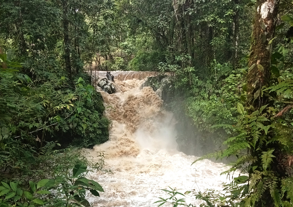 Waterfall in Tawau Hills Park